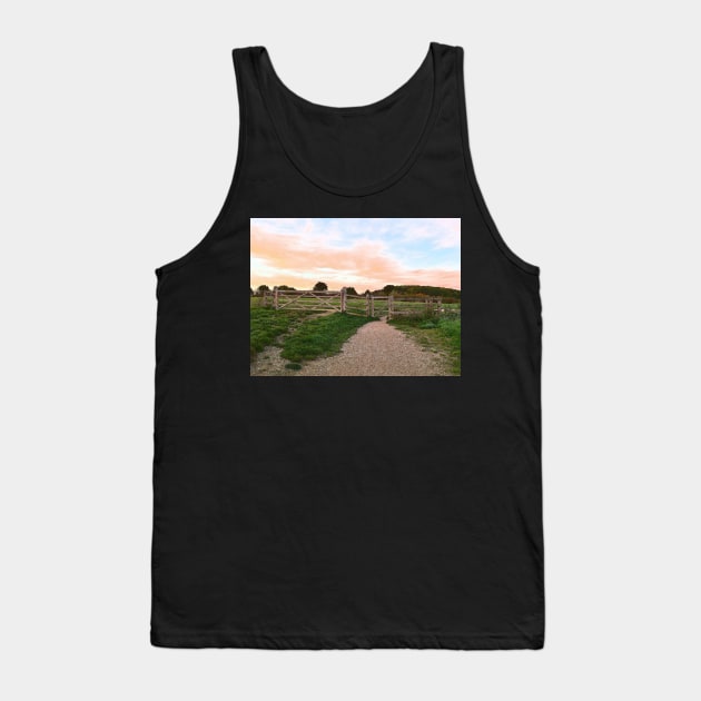 Gate and Golden sunset on the hill painting Tank Top by fantastic-designs